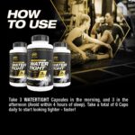 PVL Water Tight 90 Capsules - Image 6