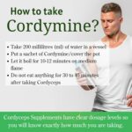 Cordymine Cordyceps Militaris Keedajadi - Image 2