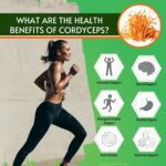 Cordymine Cordyceps Militaris Keedajadi - Image 5