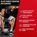 GNC Pro Performance Creatine Monohydrate 3000mg - Image 5