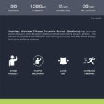 Nutrabay Wellness Tribulus Terrestris Extract (Gokshura) 1000mg, 60 Caps - Image 5