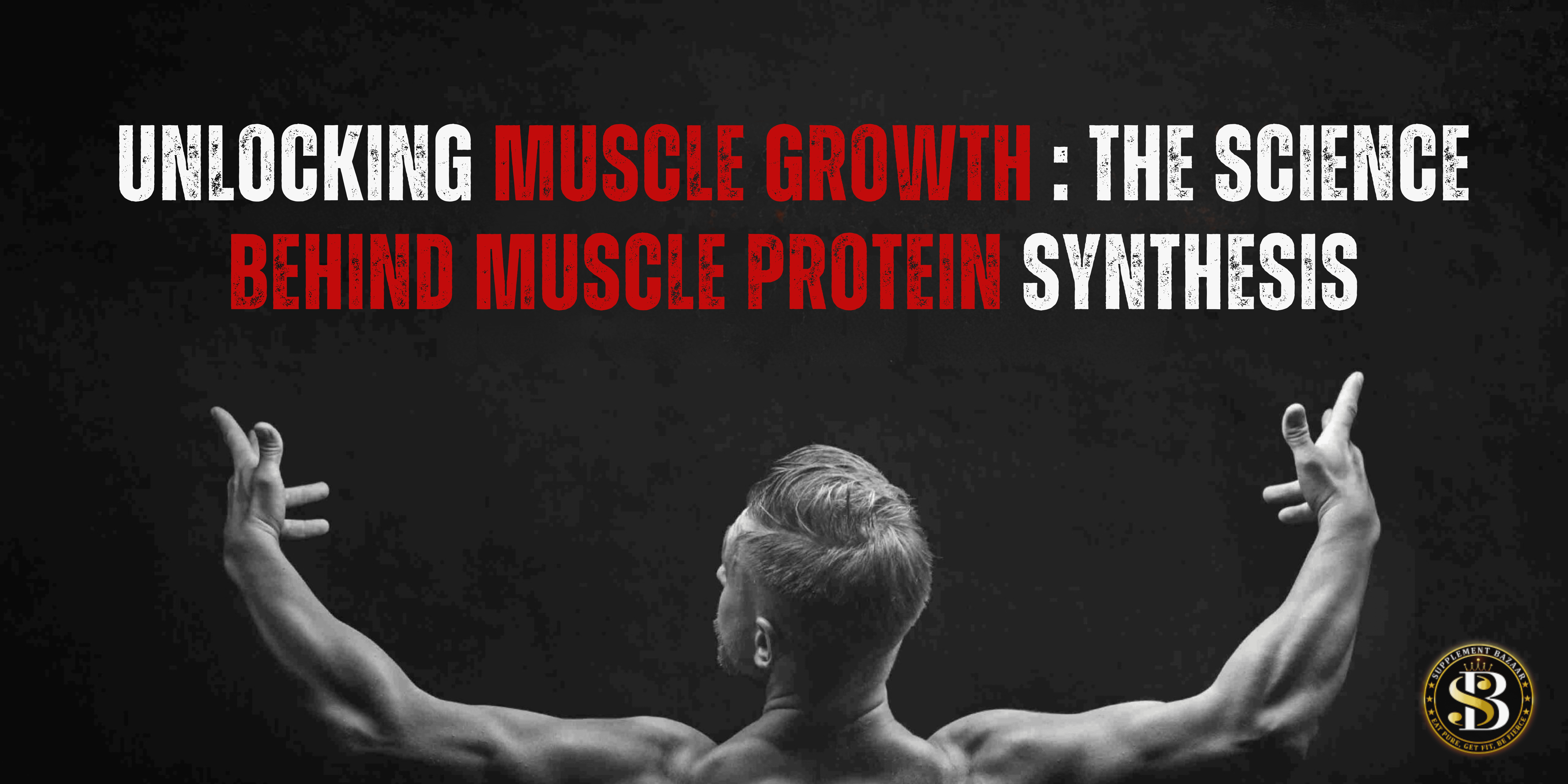 Muscle protein Synthesis