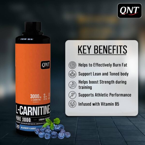 QNT L-CARNITINE SYRUP 450ML - Image 5